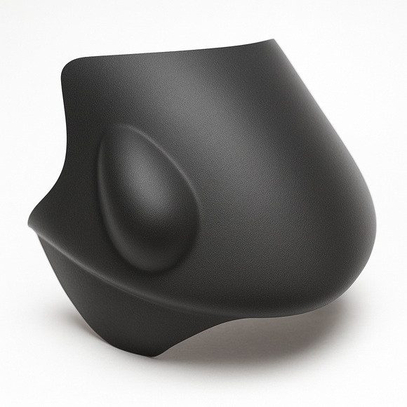 Triumph Speed 955i [T595] — лобовое стекло, козырек обтекателя кабины