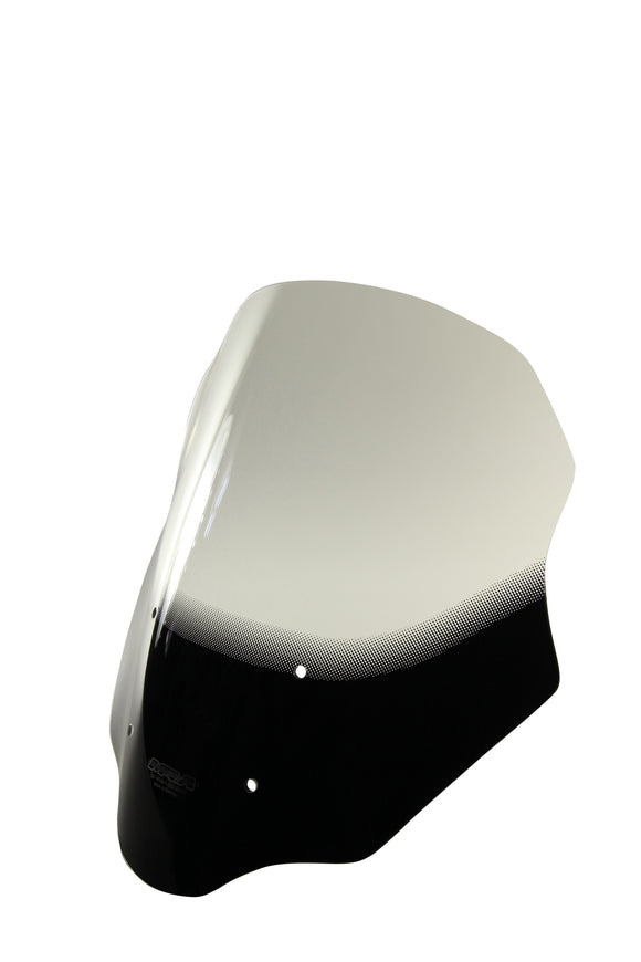 BMW G 310 GS /Adventure Tourer [2017-]-touring disc "T"