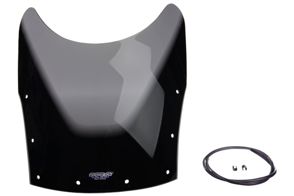 川崎GPZ 1000 RX-扰流盘“ SN”