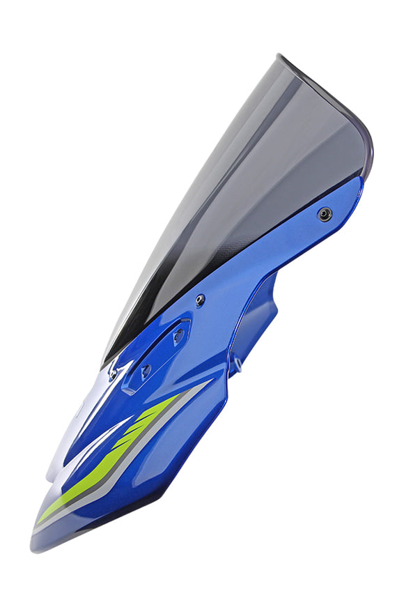 Suzuki GSX-R 125 / 150 [2017-] – Racingscheibe "R"