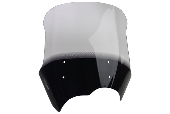 BMW G 650 GS [2011-]-Kiertolevy "T"