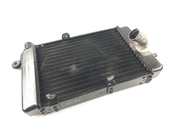 Aprilia RSV 1000 TUONO RP [2005] - chłodnica wody