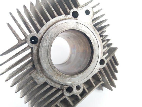 Ducatipah - Cagiva Alazzurra - Cylinder