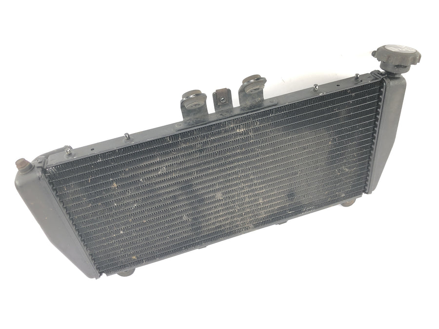 Triumph Daytona 955i 595N [2006] - Radiator vandkøler kølesystem radiator netværk