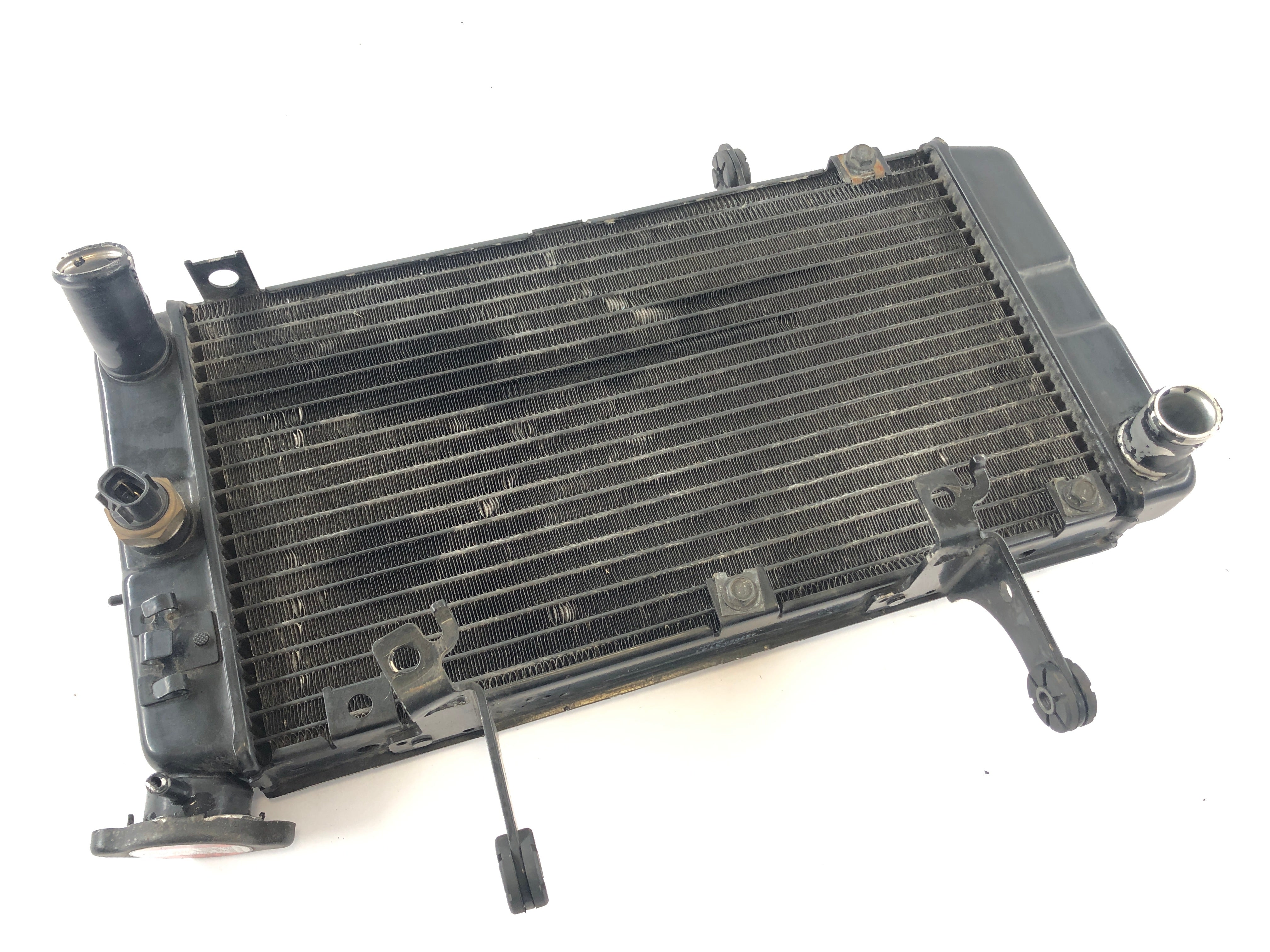 Suzuki DL 1000 V-Strom [2006] - Radiator Water Cooler