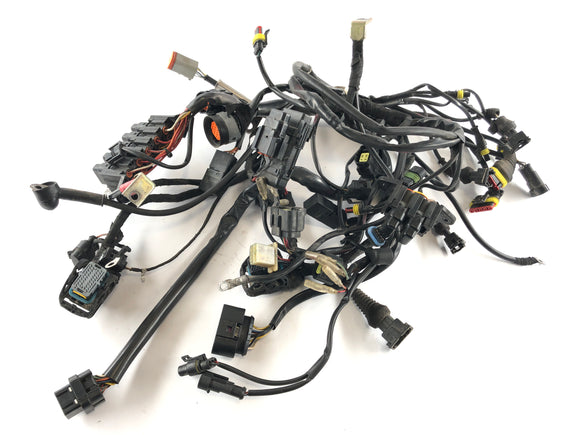 Ducati Multistrada 1000 DS [2003] - Wiring harness main wiring harness