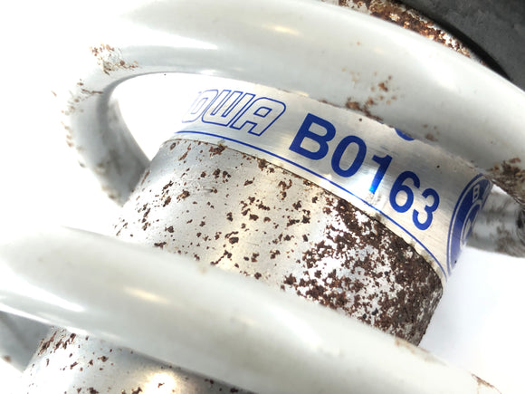 BMW R 1200 C 259C [1998] - Tela do absorvedor de choque Telelever Telelever