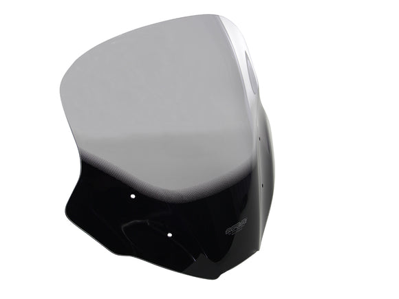 Yamaha MT-09 / FZ-09 [2014-2016] - Disqueur "NTM"