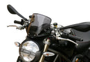 Ducati Monster 696/796/1100 - Touring Disc "T"-1