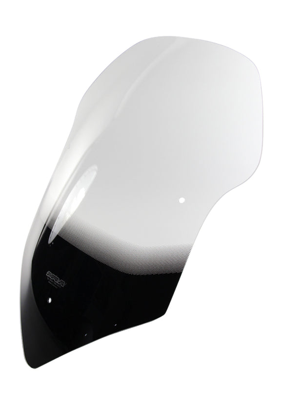 Ducati Multistrada 950 /s V2 /s [2017-]  - ツーリングディスク "T"