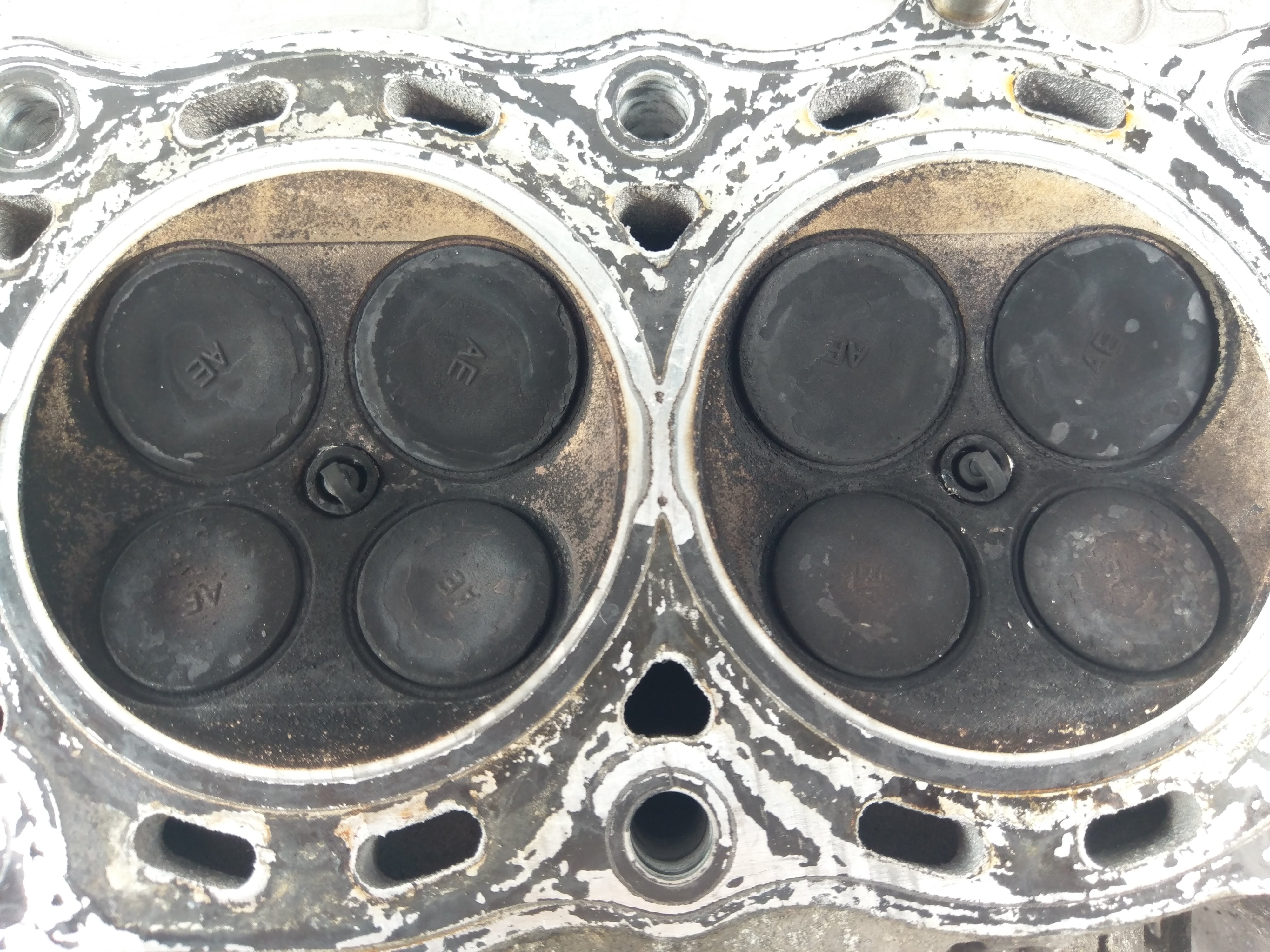 Honda CBR 900 RR Fireblade SC28 [1994] - Cylinder head