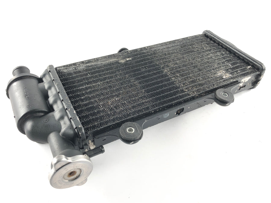 BMW F 650 CS Scarver [2001] - Kühler Wasserkühler