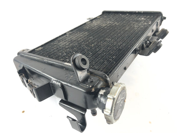 Triumph Tiger 1050 115ng [2016] - vannkjøler kjøler