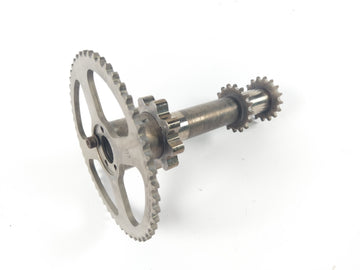 BMW R 1200 GS R12 [2003] - Wał napędowy łańcucha sterowania falami - 0