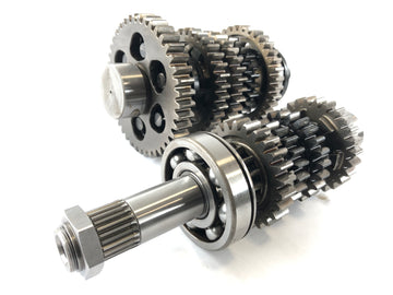 Triumph Daytona 955i T595N [2001] versnellingsbak - 0