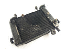 Honda CBR 125 JC34 [2006] - Radiator Water Cooler-1