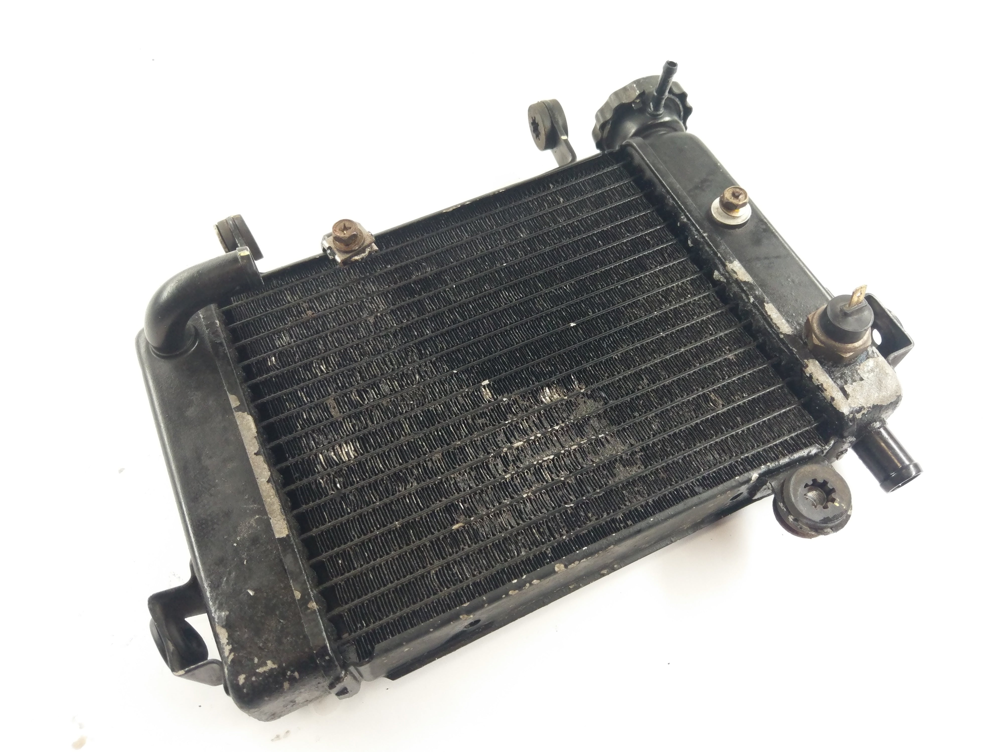 Honda CBR 125 JC34 [2006] - Radiator Water Cooler