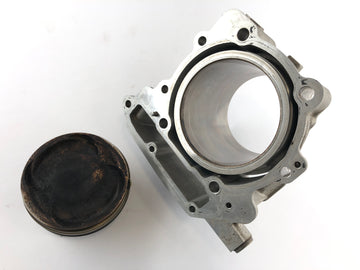 can on the spyder sm5 [2009]  - ピストンと正面のシリンダー