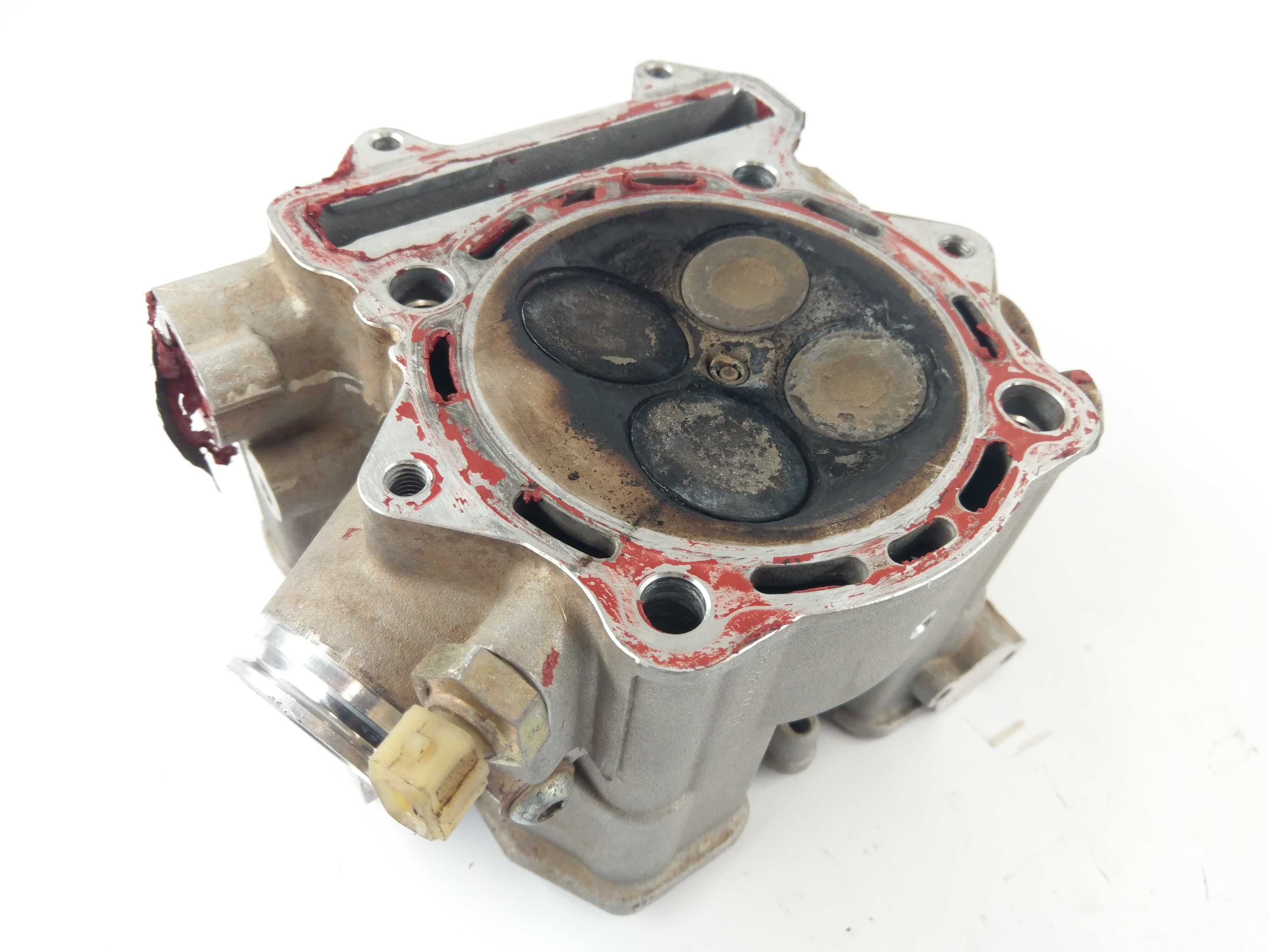 Gas Gas FSR 450 [2008] - Cylinder head