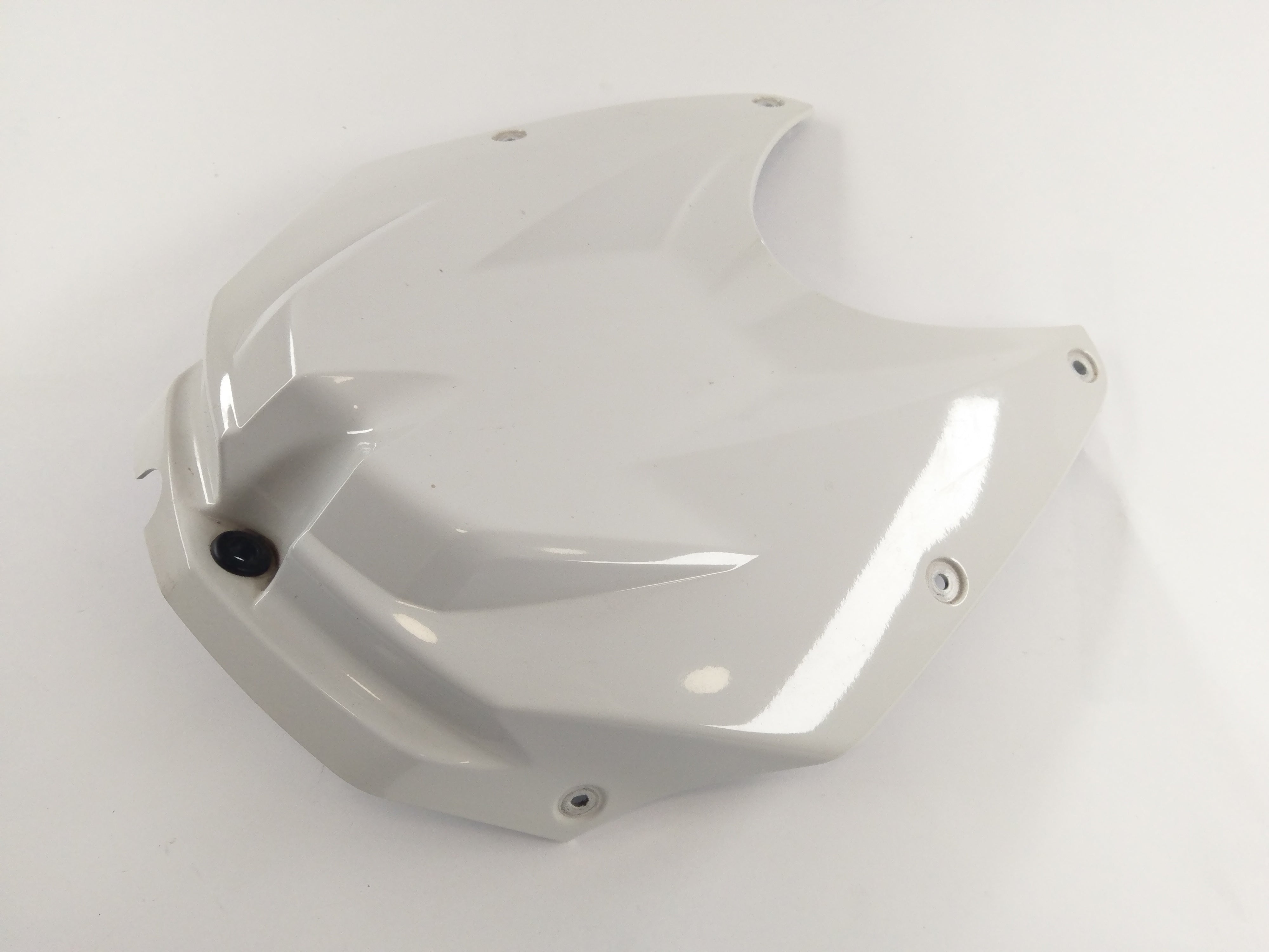 BMW S 1000 RR K10 [2010] - Airbox del serbatoio di copertura