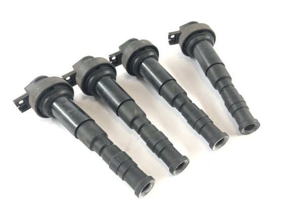 BMW K 1300 R [2010] - Ignition Coil Set