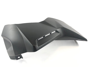 BMW K 1300 R [2010]  - 左覆层