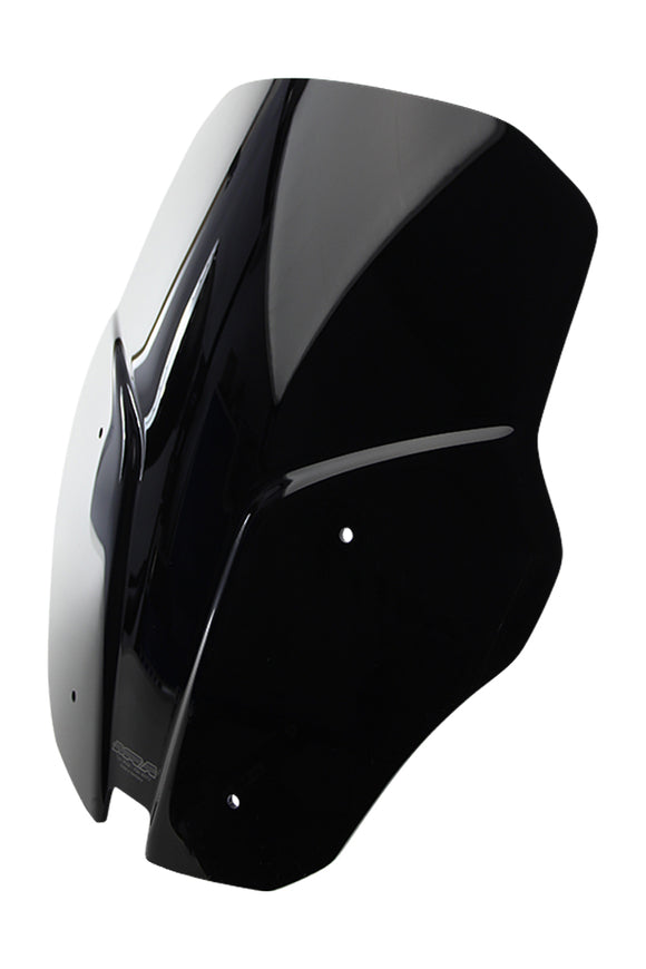 BMW R 1200 Rs [2015-]-Disco de turismo "TM"