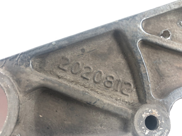 Triumph Tiger 955i 709EN [2001] - Rear brake anchor plate