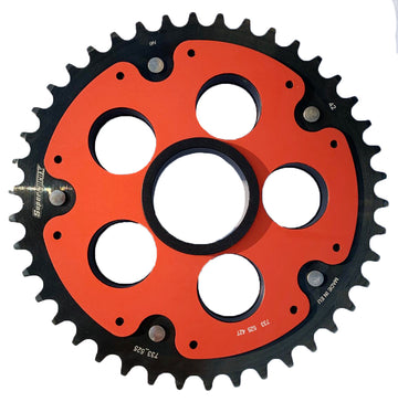 DUCATI 1000 MONSTER S 2 R [2006-2008] - Tannhjul