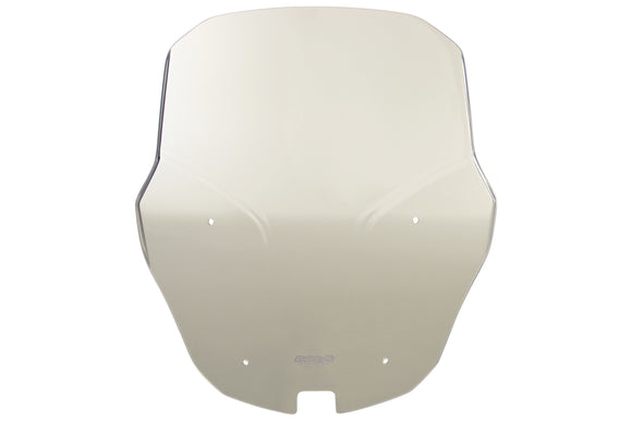 BMW R 1200 Rs [2015-]-Disco de turismo "TM"