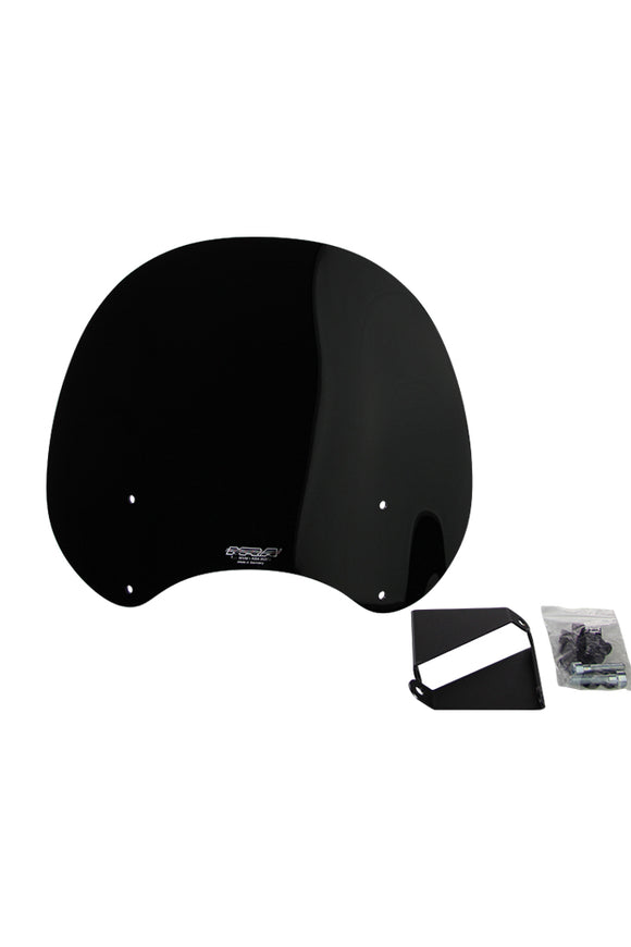 BMW R NINE-T Scrambler-Touring Disc "NTM"