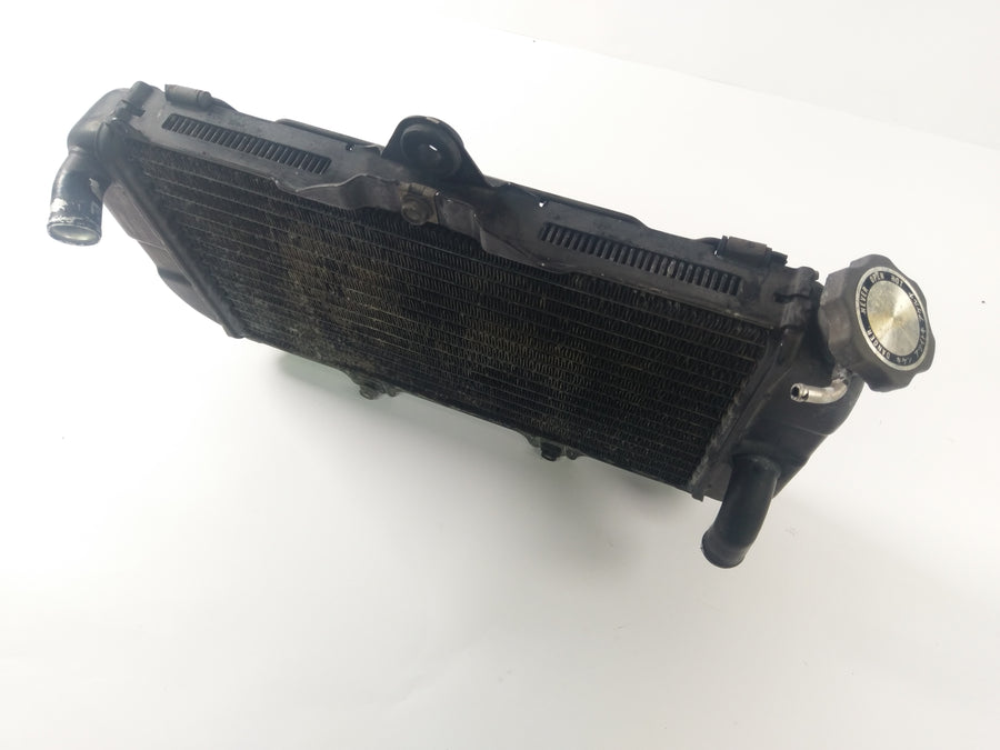 雅马哈 TDM 850 3VD [1992] - 水冷却器