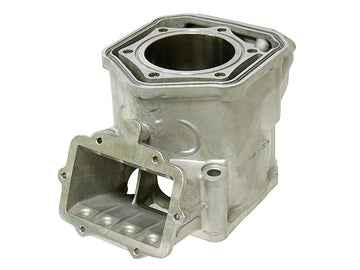 SKI DOO SKANDIC WT 600 HO E TEC [2011-2020] - Cylinder til snescootere