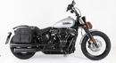 Harley-Davidson Softail Standard [2020-2025] -C-Bow Side Carrier-4