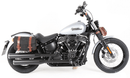 Harley-Davidson Softail Standard [2020-2025] -C-Bow Side Carrier-1