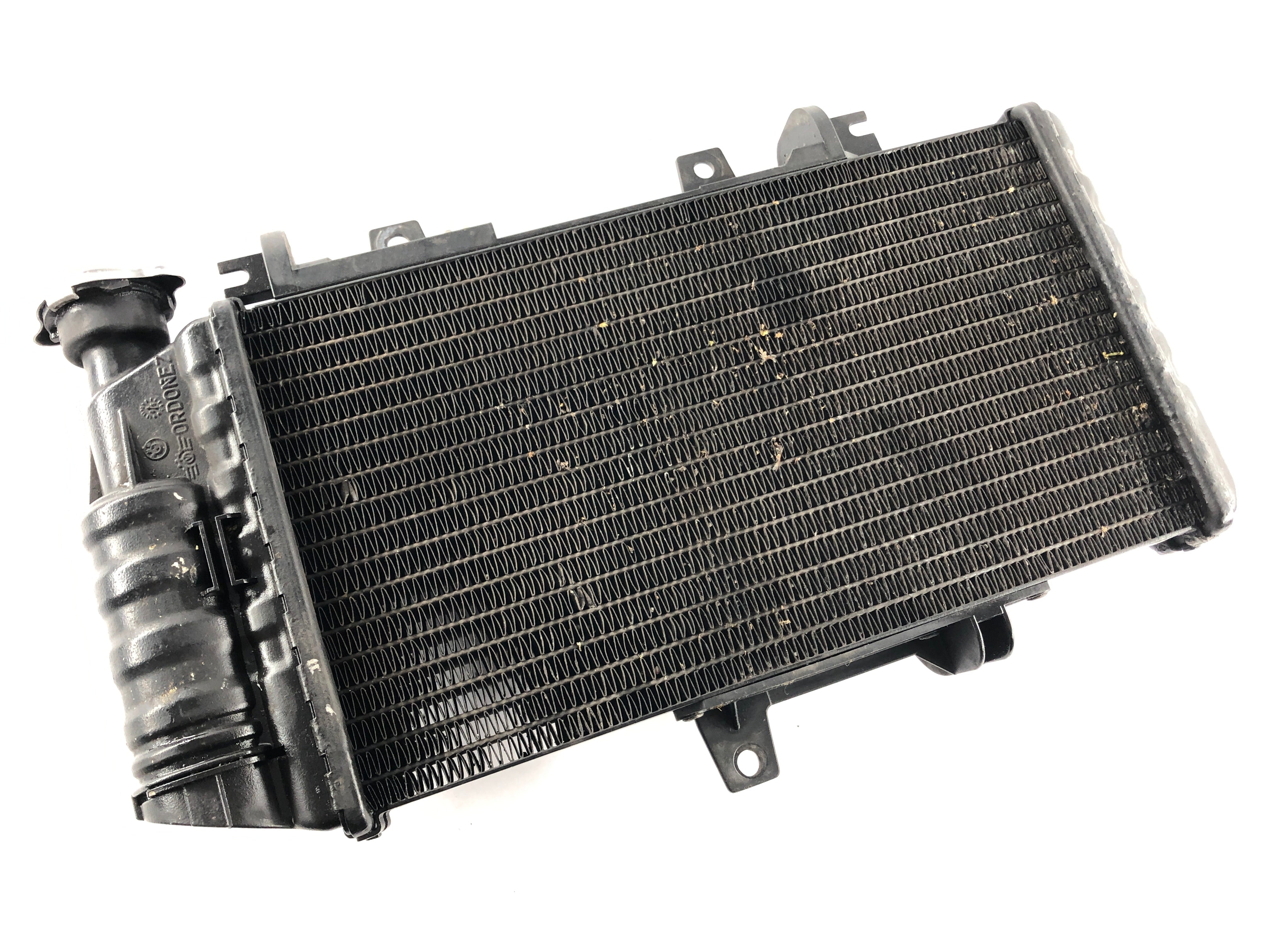 BMW F 800 S [2007] - Radiator Water Cooler