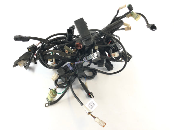 Husqvarna 701 Vitpilen [2018] - Cablaggio