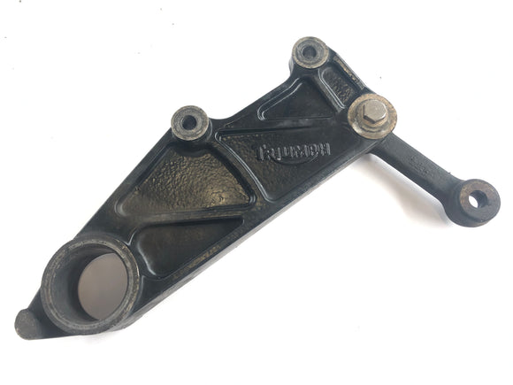 Triumph Tiger 955i 709EN [2001] - Rear brake anchor plate