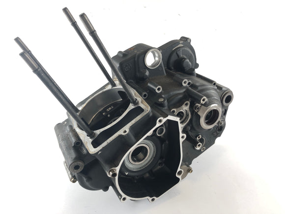 Husqvarna TE 510 [2008] - Habitação do motor Casa vazia