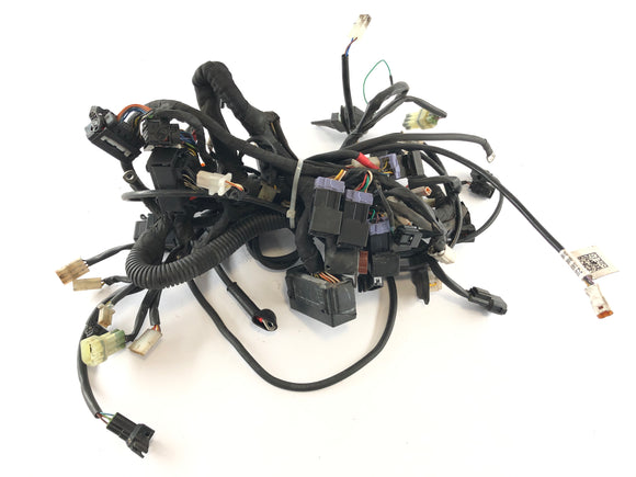 Husqvarna 701 Vitpilen [2018] - Cablaggio