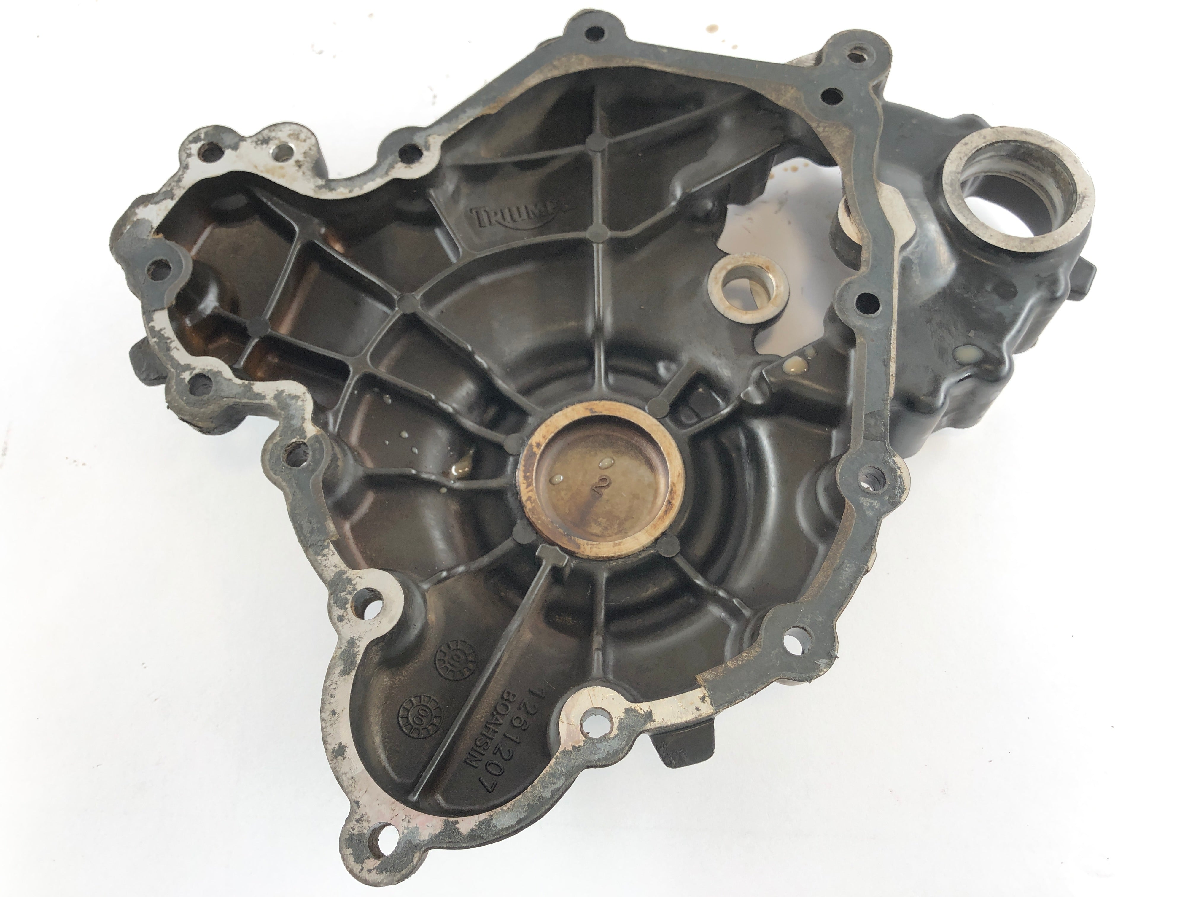 Triumph Tiger 955i 709EN [2001] - Engine cover right