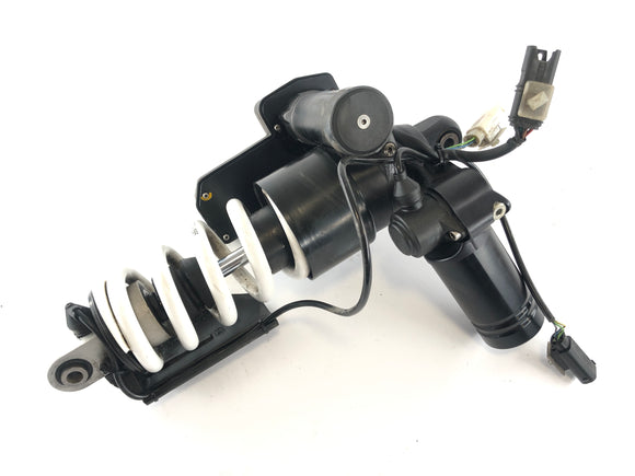 BMW K 1300 S K12S [2009]  - 春季羽毛碰碰冲击吸收器WP