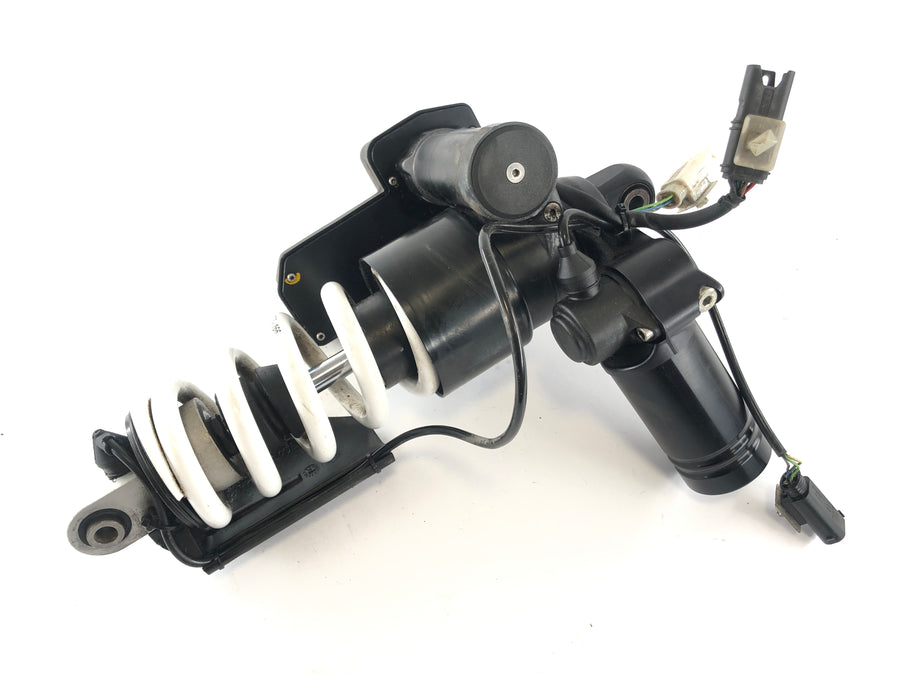 BMW K 1300 S K12S [2009] - Spring Feather Bumper Shock Absorber WP