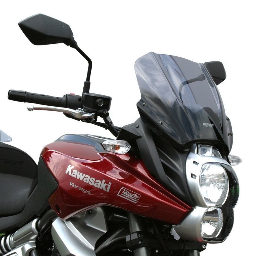 Kawasaki VERSYS 650 [2010-2014] – οθόνη περιοδείας "TM"