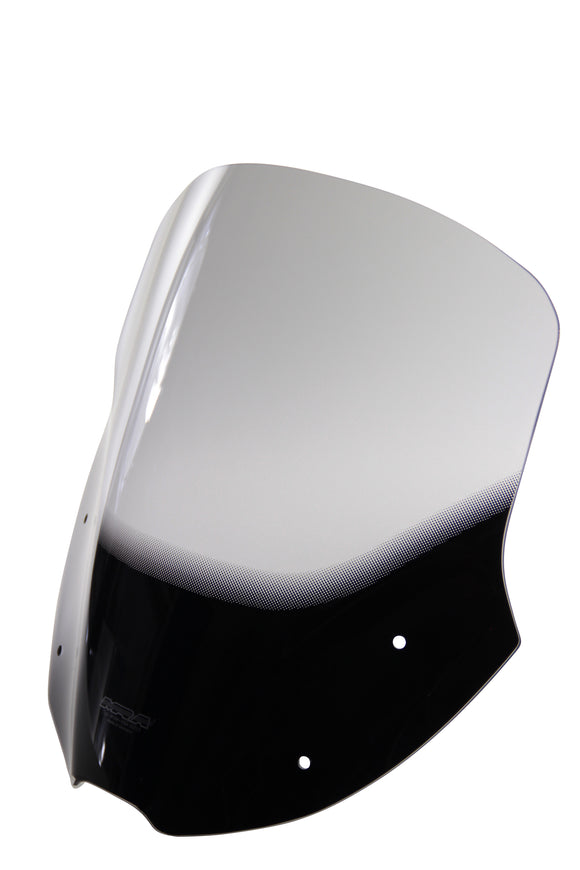 川崎バルカンS [2015-]  - ツーリングディスク "NTM"