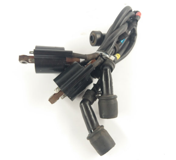 Yamaha XJR 1300 RP10 (2006) - катушка зажигания с набором кабеля зажигания