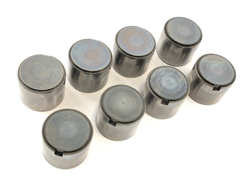 Triumph Thruxton 900 [2004] - Coppe umane