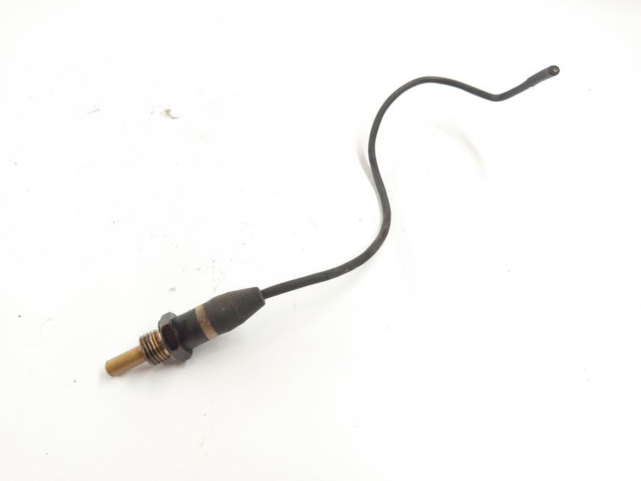 BMW R 850 R 259 [1999] - Temperatūras sensors