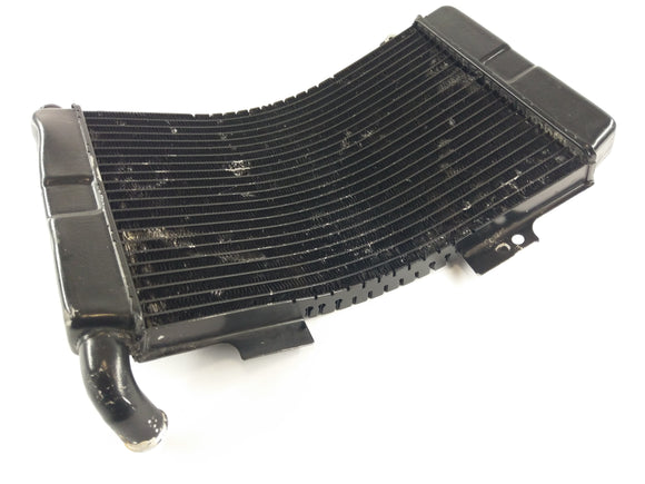 Aprilia RS 250 [1998] - Radiateur d'eau défectueux