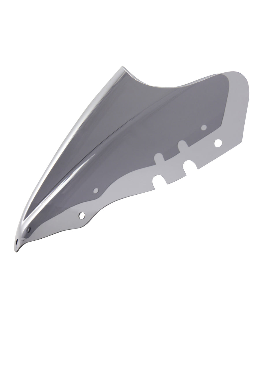 ヤマハYZF 750 R-レーシングディスク "RN"